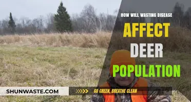 Wasting Disease's Impact: Threatening Deer Populations and Ecosystem Balance