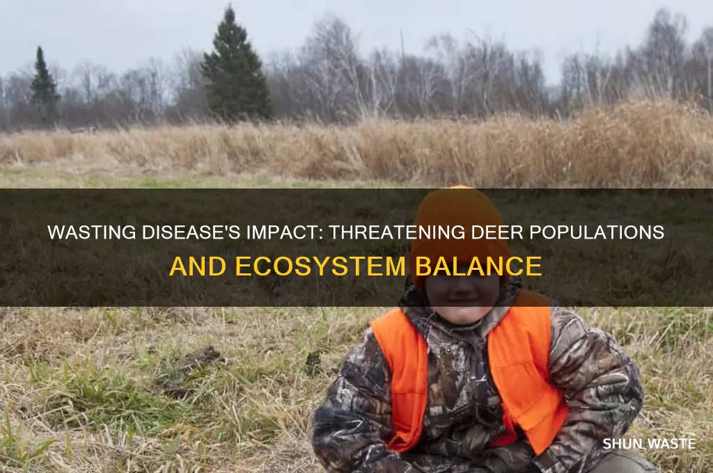 how will wasting disease affect deer population