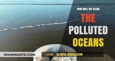 Cleaning Our Oceans: Innovative Solutions for a Brighter Future