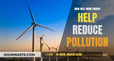 Wind Power: Pollution Solution and Energy Revolution