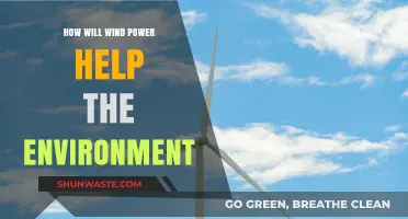 Harnessing Wind Power: A Sustainable Solution for Environmental Preservation