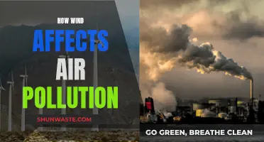 Wind's Impact: Air Pollution's Friend or Foe?