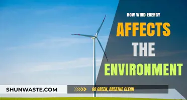 Wind Energy's Environmental Impact: Benefits, Challenges, and Sustainability Insights