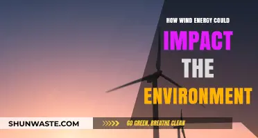Wind Energy's Environmental Impact: Benefits, Challenges, and Future Implications