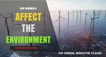 Windmills and the Environment: Impacts, Benefits, and Sustainability Explored