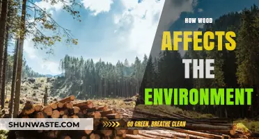 Wood's Environmental Impact: Sustainability, Deforestation, and Climate Change Explained