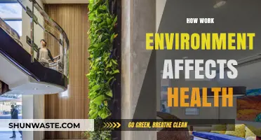 Workplace Wellness: How Your Job Environment Impacts Your Health