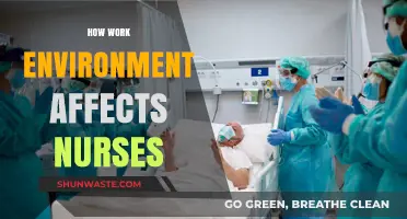 Impact of Work Environment on Nurses' Well-being and Performance