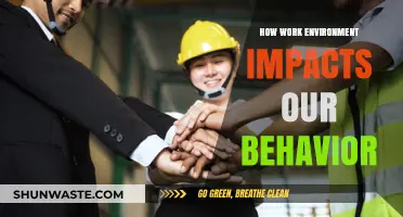 Workplace Atmosphere: Shaping Employee Behavior and Productivity Dynamics