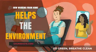 Remote Work Revolution: How Home Offices Benefit Our Planet