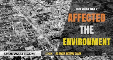 World War II's Devastating Environmental Legacy: Impacts and Consequences