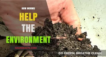 Worms: Unseen Heroes Boosting Soil Health and Ecosystems