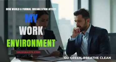 How Formal Organizations Transform Work Environments: Insights and Impacts