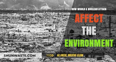Nuclear Attack's Devastating Environmental Impact: Long-Term Consequences Explored