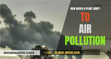 Plants' Resilience: Adapting to Air Pollution
