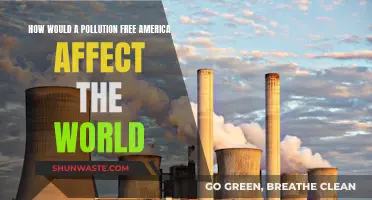 A Green America: Global Impact of Pollution-Free USA