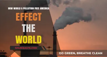 A Green America: Global Impact