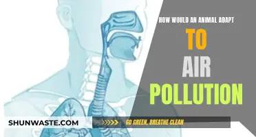 Animals' Resilience Against Air Pollution: Strategies for Survival