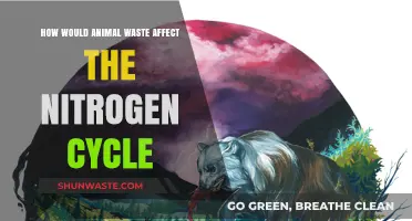 Animal Waste's Impact on Nitrogen Cycling in Ecosystems