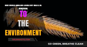 Annelid Waste: Unlocking Eco-Friendly Benefits for a Sustainable Environment