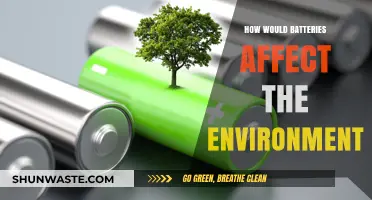 Environmental Impact of Batteries: Sustainable Solutions or Ecological Hazard?