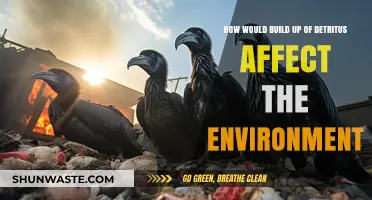 Detritus Buildup: Environmental Impacts and Ecosystem Disruption Explained