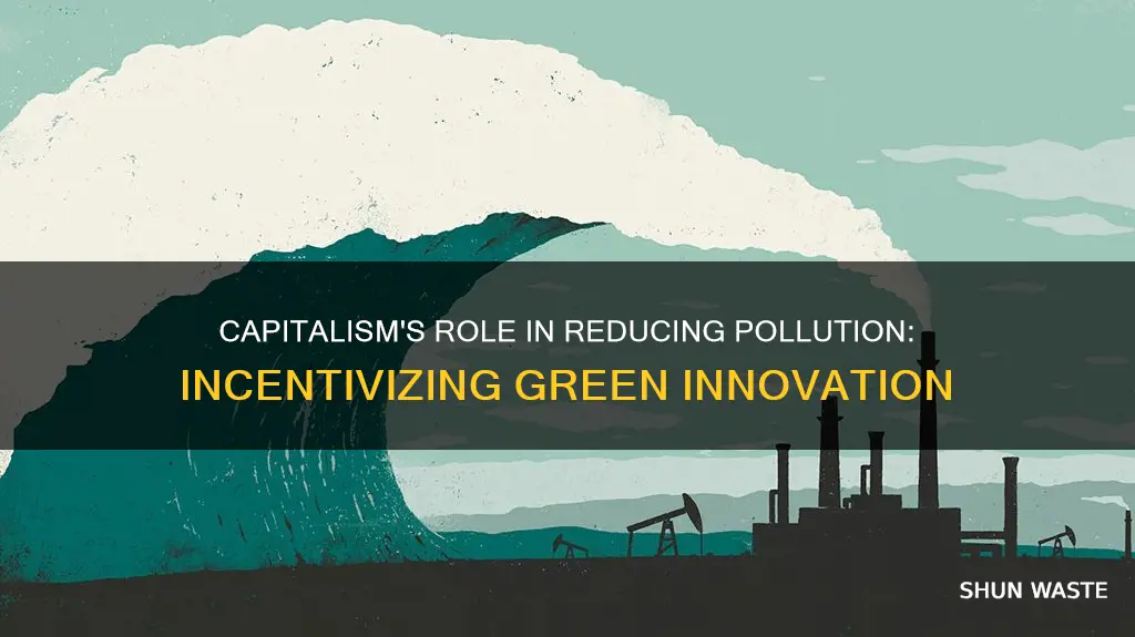 how would capitalism reduce pollution