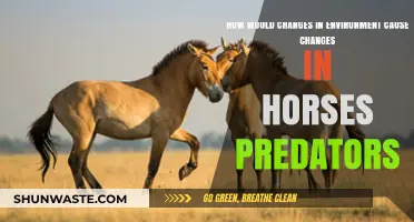 Environmental Shifts: How Habitat Changes Impact Horse Predators' Survival