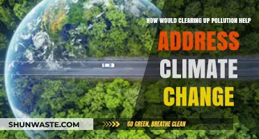 Clearing Pollution: A Direct Climate Change Solution