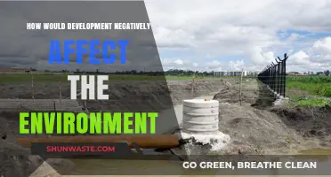 Unchecked Development: Environmental Degradation and Its Long-Term Consequences