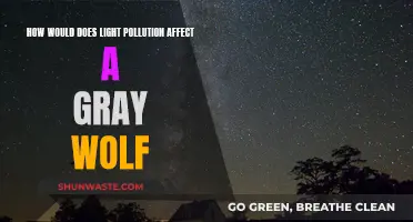 Light Pollution's Impact on Gray Wolves' Habitat and Behavior