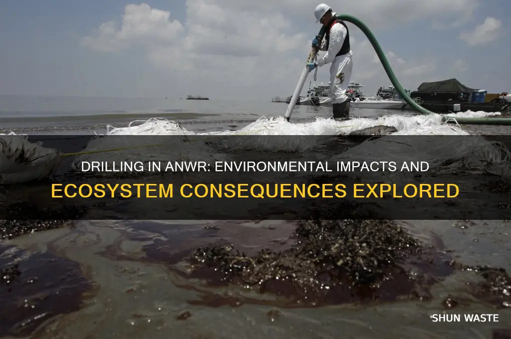 how would drilling in anwr affect the environment