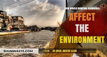 Chemical Dumping's Devastating Impact: Environmental Consequences and Solutions