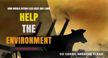 Cutting Beef and Lamb: A Simple Step for a Greener Planet