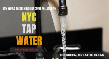 Chlorine Overload: Unveiling the Hidden Dangers in NYC's Tap Water