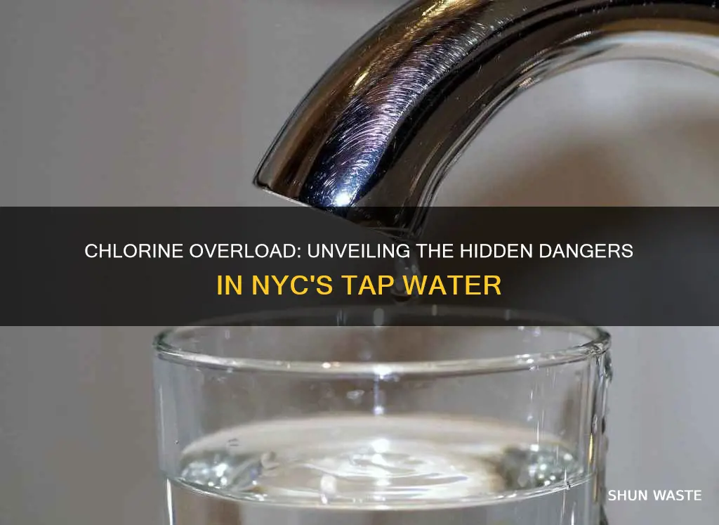 how would excess chlorine cause pollution to nyc tap water