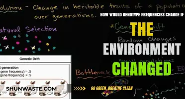 Environmental Shifts: How Genotype Frequencies Adapt and Evolve Over Time