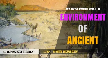 Human Impact on Ancient Environments: A Historical Ecological Perspective