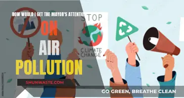 Air Pollution: Getting the Mayor's Attention and Action