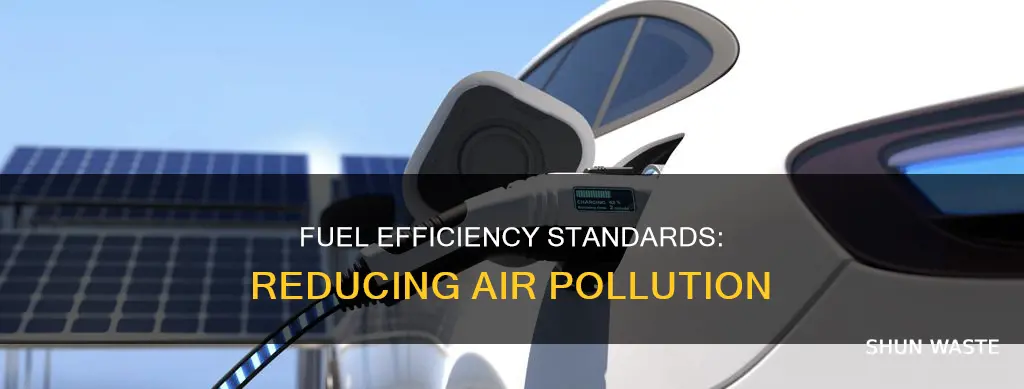 how would increasing fuel efficiency standards help reduce air pollution