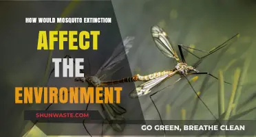 Mosquito Extinction: Unraveling the Ecological Impact on Our Environment