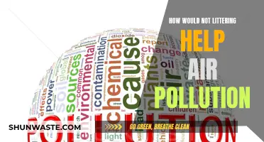 Litter's Impact: Air Pollution and the Unseen Connection