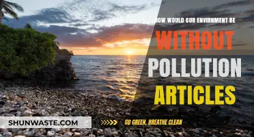 A World Without Pollution: The Benefits
