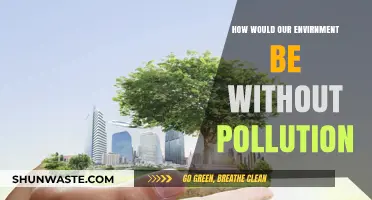 A Green Dream: Pollution-Free Environment