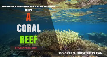 Oxygen-Demanding Waste: A Silent Killer of Coral Reef Ecosystems