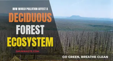 Pollution's Impact on Deciduous Forests: A Complex Web