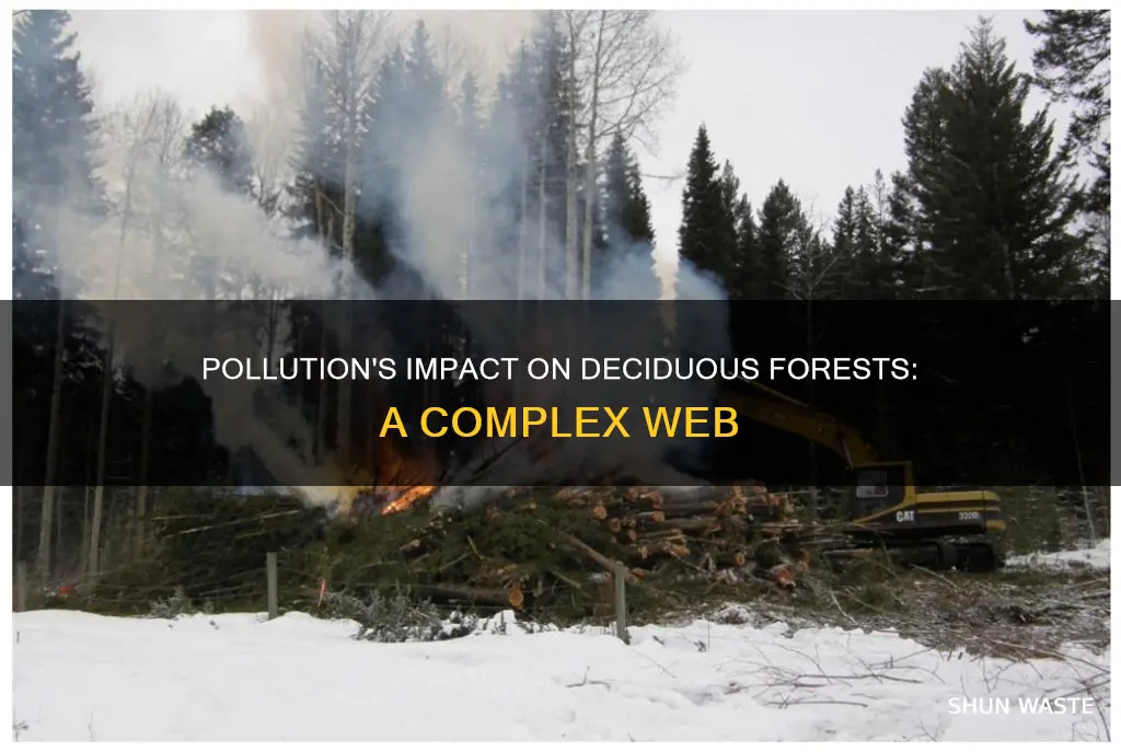 how would pollution affect a deciduous forest ecosystem