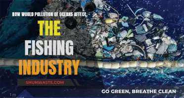 Ocean Pollution: Fishing Industry's Future at Stake