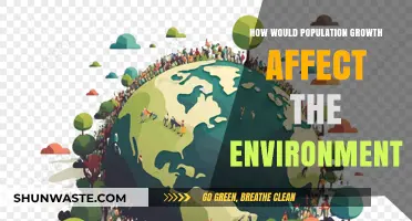 Population Growth's Environmental Impact: Challenges and Sustainable Solutions Ahead