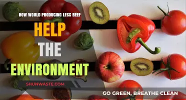 Reducing Beef Production: A Sustainable Path to Environmental Preservation
